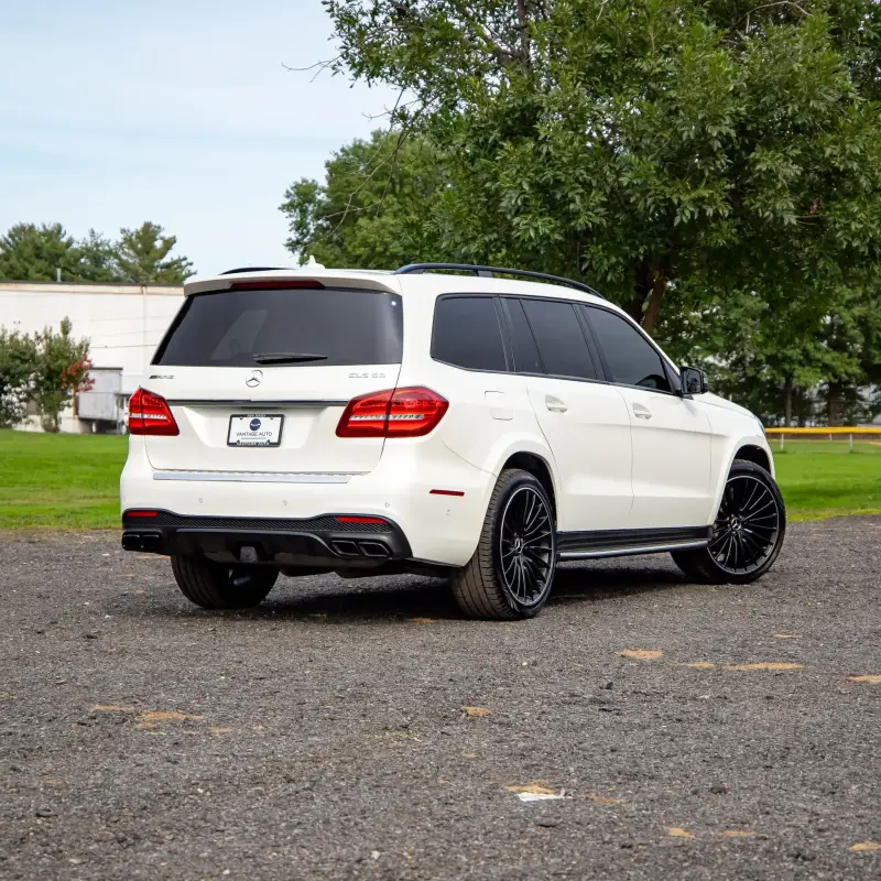 2019 Mercedes-AMG GLS63 photo 3